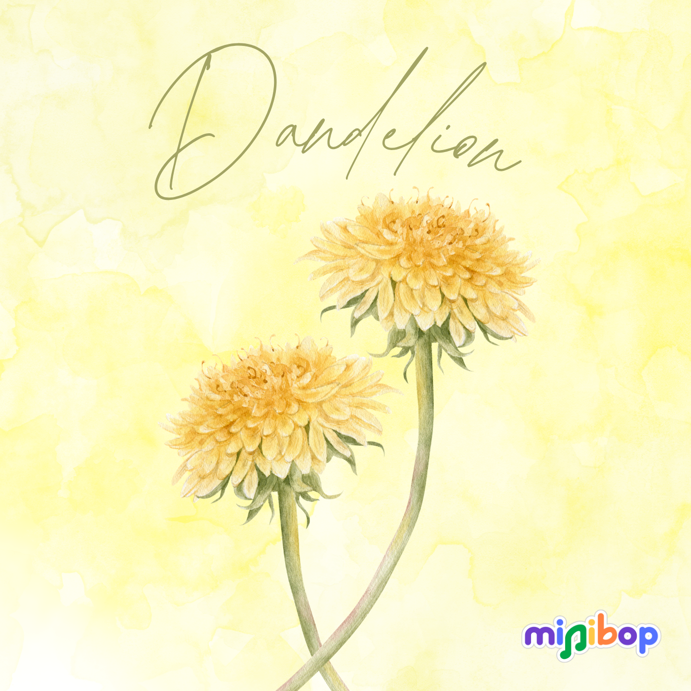 Dandelion song cover